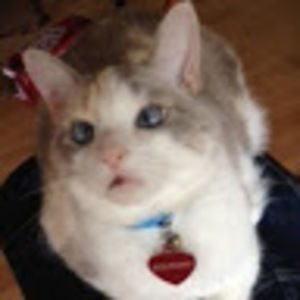 Meet your Posher, Wendy